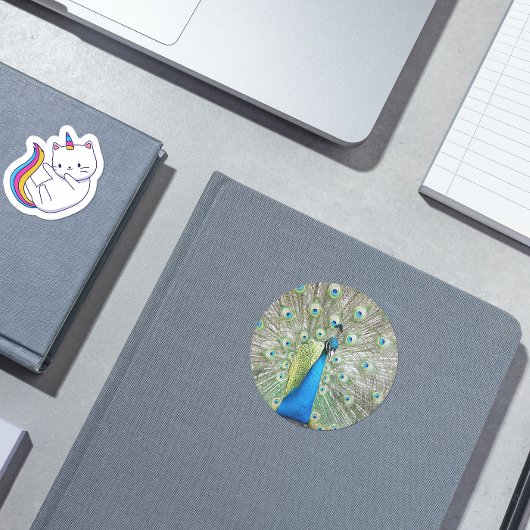 青い孔雀の羽の羽毛の写真 ハートシール