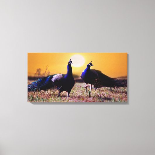 青い孔雀 キャンバスプリント (正面)