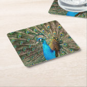 青い孔雀 スクエアペーパーコースター (アングル)