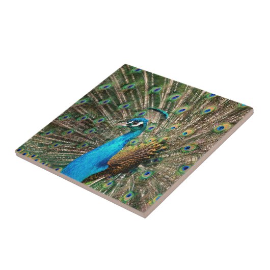 青い孔雀 タイル (側面)