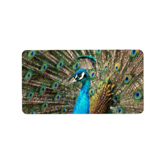 青い孔雀 ラベル (正面)