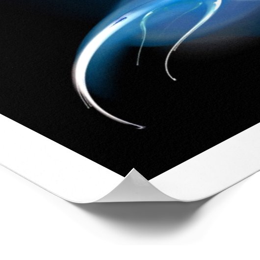 青い小鳥 ポスター (角)