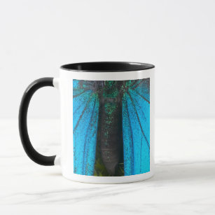 青い山のアゲハチョウ(Papilioウリッセース) マグカップ