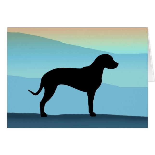 青い山Catahoula (正面横)