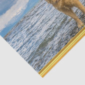 青い岩の上に立つゴールデン・リトリーバー海 薄葉紙 (詳細)