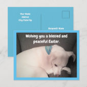 青い復活祭を静かにかわいい犬の写真 ポストカード (正面/裏面)