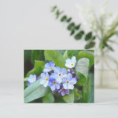 青い忘れ私は花ではない ポストカード (スタンド正面)