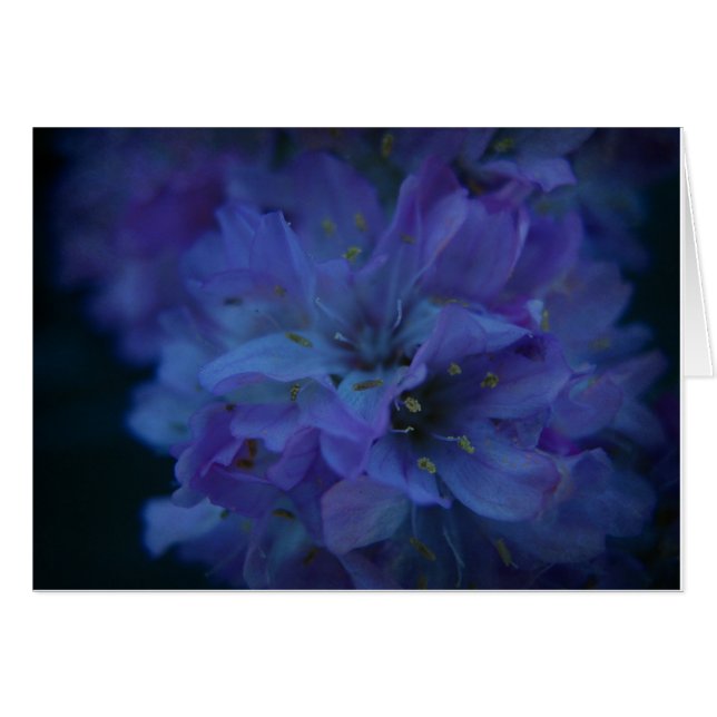 青い恋人 (正面横)