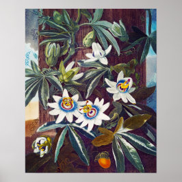 青い情熱の花 ポスター