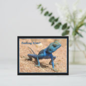 青い感じカードを持って行く ポストカード (スタンド正面)