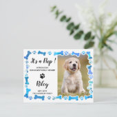 青い手が骨をプリント新しいペットドッグパピー 案内ポストカード (スタンド正面)