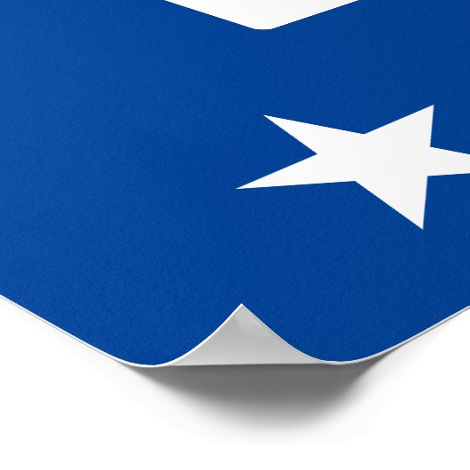 青い投票記号 ポスター (角)