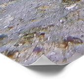 青い斑点のあるアカエイ ポスター (角)