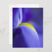 青い旗の詳細を閉じる。 ポストカード (正面/裏面)