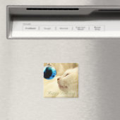 青い星を見つめて マグネット (インサイチュ (食洗機))