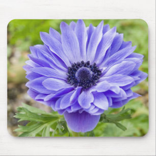 青い星状体の花のマウスパッド マウスパッド