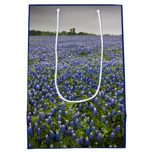 青い春のBluebonnet分野のテキサス州の州花 ミディアムペーパーバッグ (裏面)