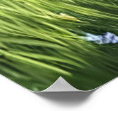 青い服を着た擬人化した白い猫 | AI Art ポスター (角)