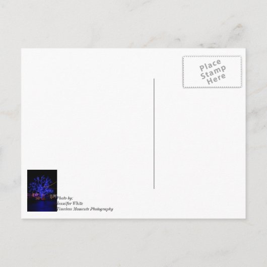 青い木 ポストカード (裏面)