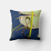 青い枕トンボ、緑の目 クッション (裏面)