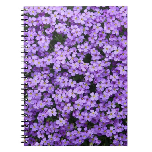 青い枕花 ノートブック (正面)