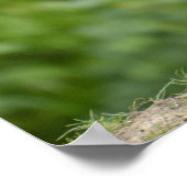 青い柳 ポスター (角)