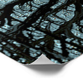 青い根 ポスター (角)