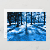 青い森の木の影と光 ポストカード (正面/裏面)