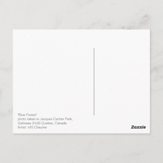 青い森の木の影と光 ポストカード (裏面)