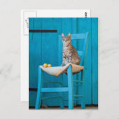 青い椅子に座ったタビー猫 ポストカード (正面/裏面)