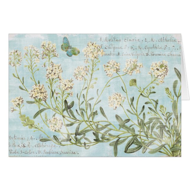 青い植物 (正面横)