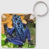 青い毒ダーツカエルのクローズアップ キーホルダー (裏面)