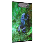 青い毒投げ矢のカエル クリップボード (右)