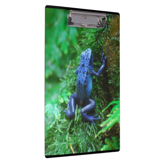 青い毒投げ矢のカエル クリップボード (右)