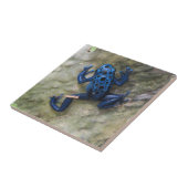 青い毒投げ矢のカエル タイル (側面)