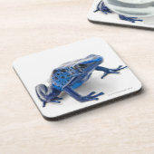 青い毒投げ矢のカエル(Dendrobates Tinctorius) コースター (左側)