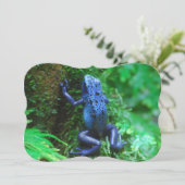 青い毒矢蛙 招待状 (スタンド正面)