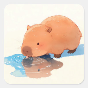 青い水たまりから水を飲むかわいいカピバラ スクエアシール