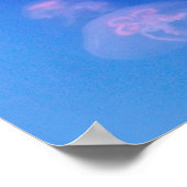 青い水にピンクのクラゲ ポスター (角)