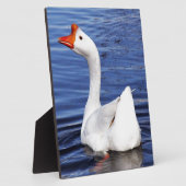 青い水に白いスイミングガチョウ フォトプラーク (側面)