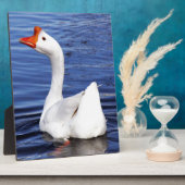 青い水に白いスイミングガチョウ フォトプラーク (側面)