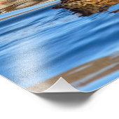 青い水の上のアヒル フォトプリント            (角)