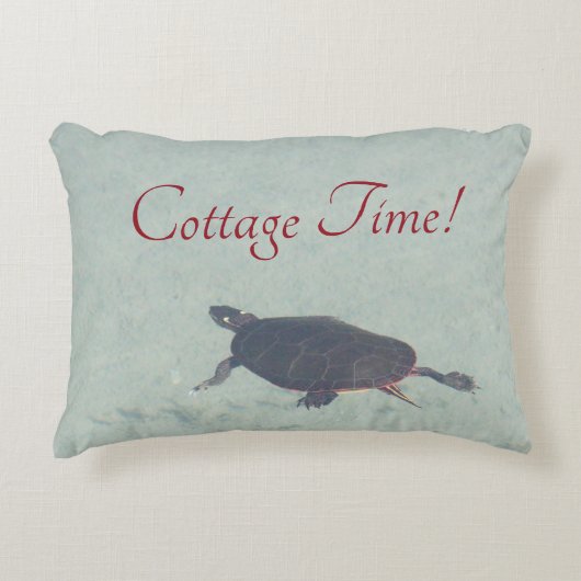 青い水を持つ亀 アクセントクッション (正面)