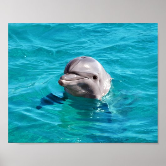青い水中のイルカの写真 ポスター (正面)