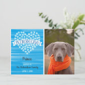 青い水彩画犬の足のプリントの写真の発表 案内状 (スタンド正面)