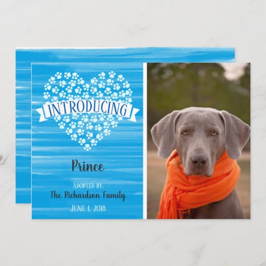 青い水彩画犬の足のプリントの写真の発表 案内状 (正面/裏面)