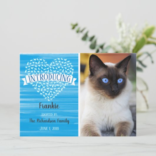 青い水彩画猫のハートペット写真の発表 案内状 (スタンド正面)