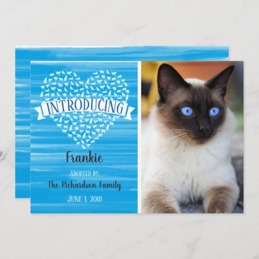 青い水彩画猫のハートペット写真の発表 案内状 (正面/裏面)