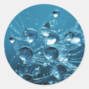 青い水滴 ラウンドシール