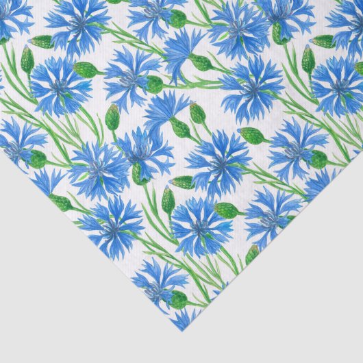 青い水色のトウモロコシの花、白い上に野生の花 薄葉紙 (詳細)